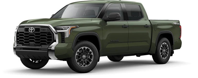 2022 Toyota Tundra SR5 in Army Green | Bergstrom Toyota in Oshkosh WI