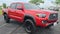 2023 Toyota TACOMA 4WD TRD OFF-ROAD