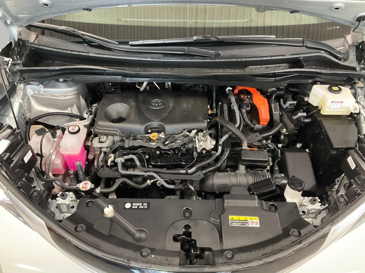 2024 Toyota Sienna Platinum AWD 7-Passenger