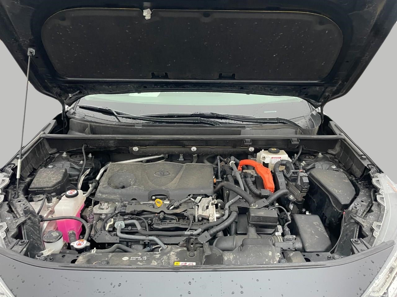 2021 Toyota RAV4 Hybrid XLE Premium AWD